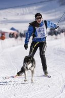 Lenk 2013